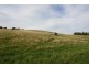 244 Korumburra-Bena Road, Korumburra VIC 3950