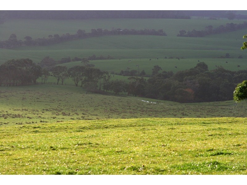 515. Kerrs Road, Fish Creek VIC 3959