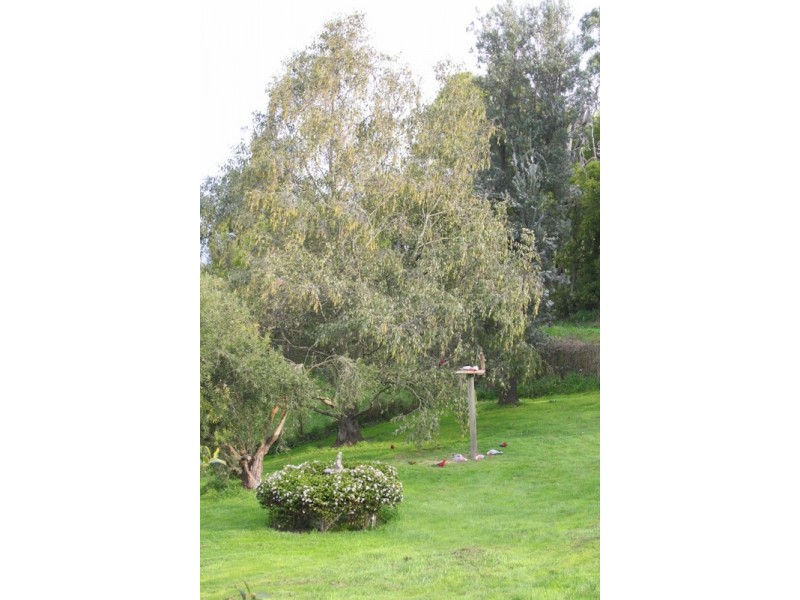 90 Stevens Road, Kardella VIC 3951