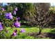8 Neilsen Street, Outtrim VIC 3951
