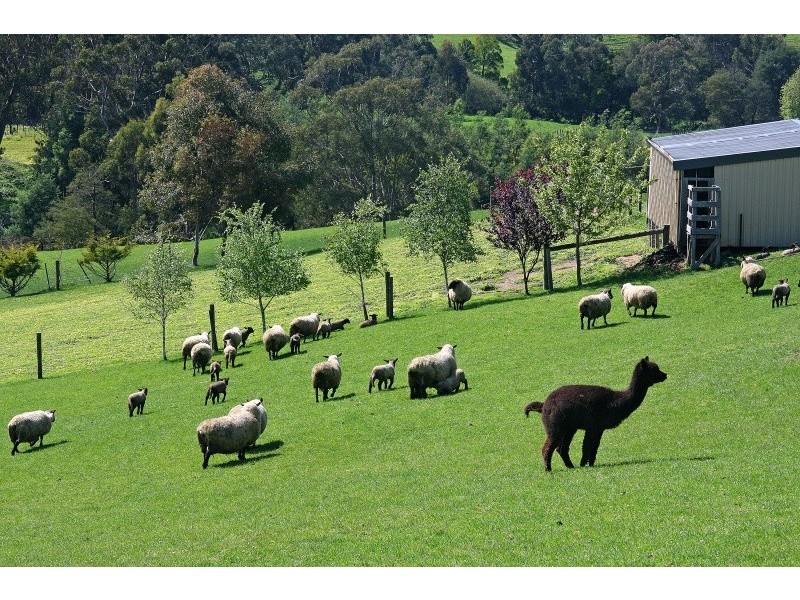 105 Stewarts Road, Korumburra VIC 3950