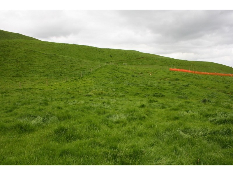 1106 Bena Kongwak Road, Kongwak VIC 3951