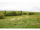 585 Clancy’s Rd, Korumburra VIC 3950