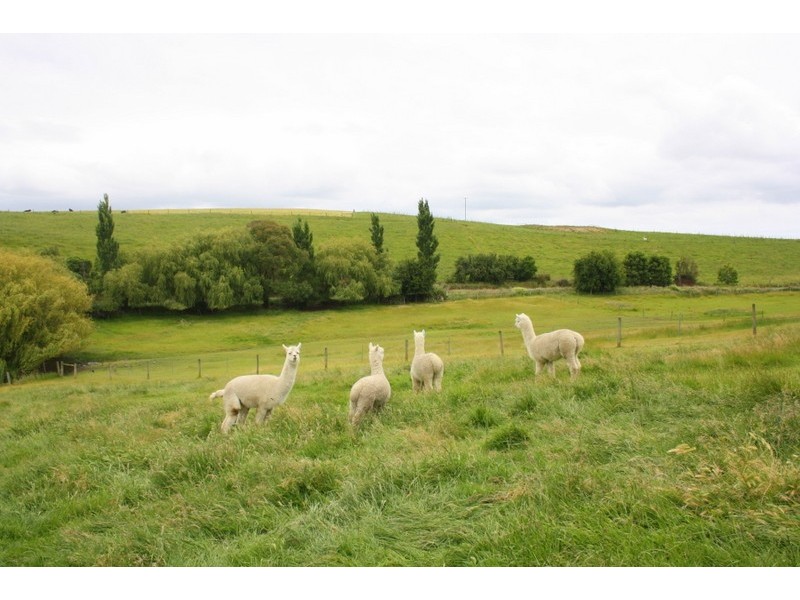 585 Clancy’s Rd, Korumburra VIC 3950
