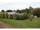 20 Silkstone Road, Korumburra VIC 3950