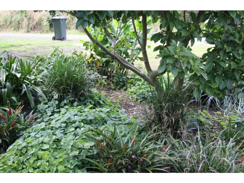 56 Bena Road, Korumburra VIC 3950