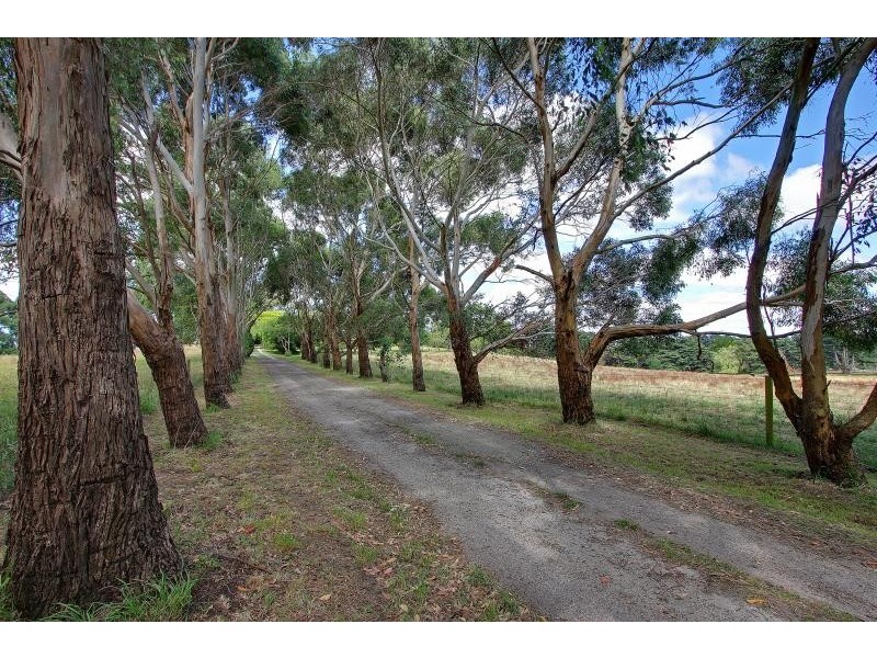 375 Clancys Road, Korumburra VIC 3950