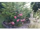 9 Hairs Road, Korumburra VIC 3950