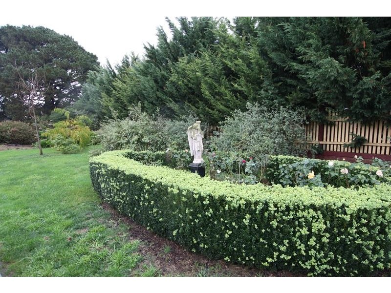 .230 Ruby-Fairbank Road, Ruby VIC 3953