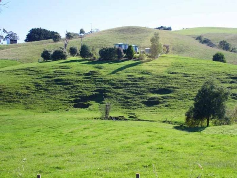 11 Hoskings Road Jeetho, Bena VIC 3946