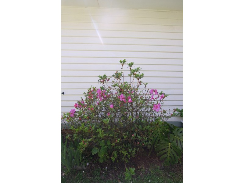 190 One Chain Road, Kardella VIC 3951