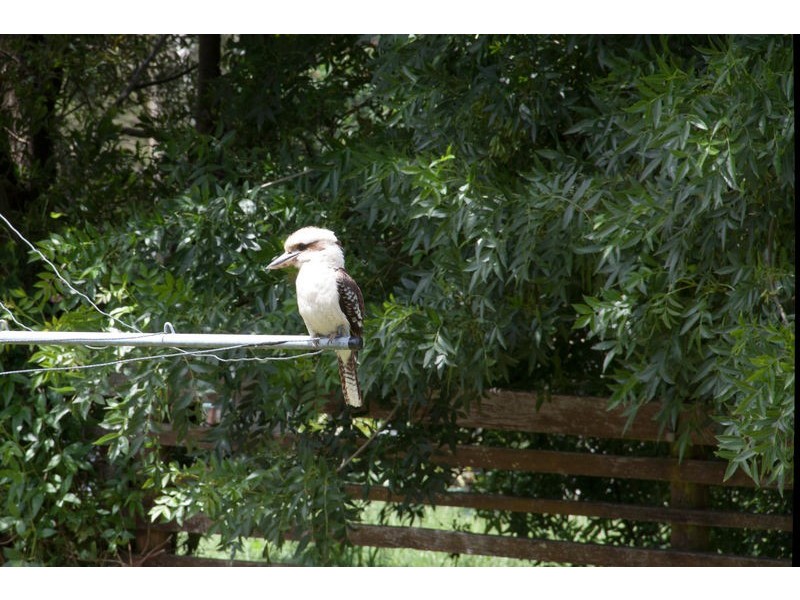 40 Wallis & Hawks Raod, Korumburra VIC 3950