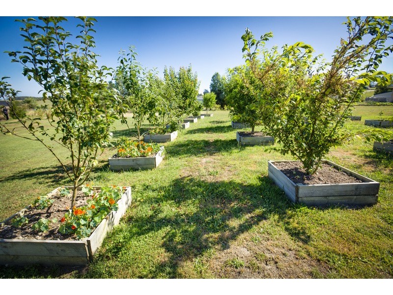 96 Betula Drive, Poowong VIC 3988