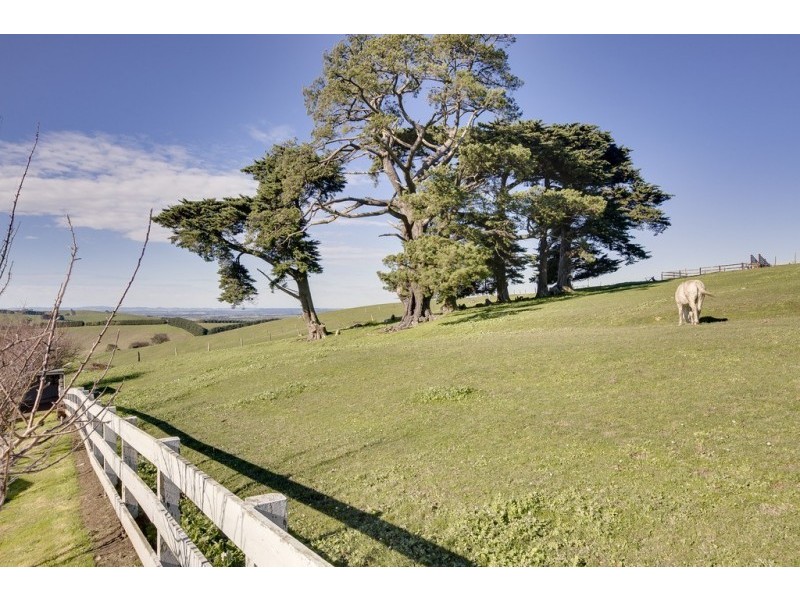 43 Rees Road, Jumbunna VIC 3951