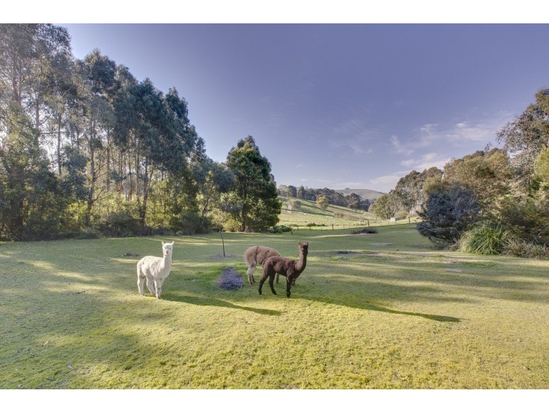 31 Lower Gordon Street, Korumburra VIC 3950