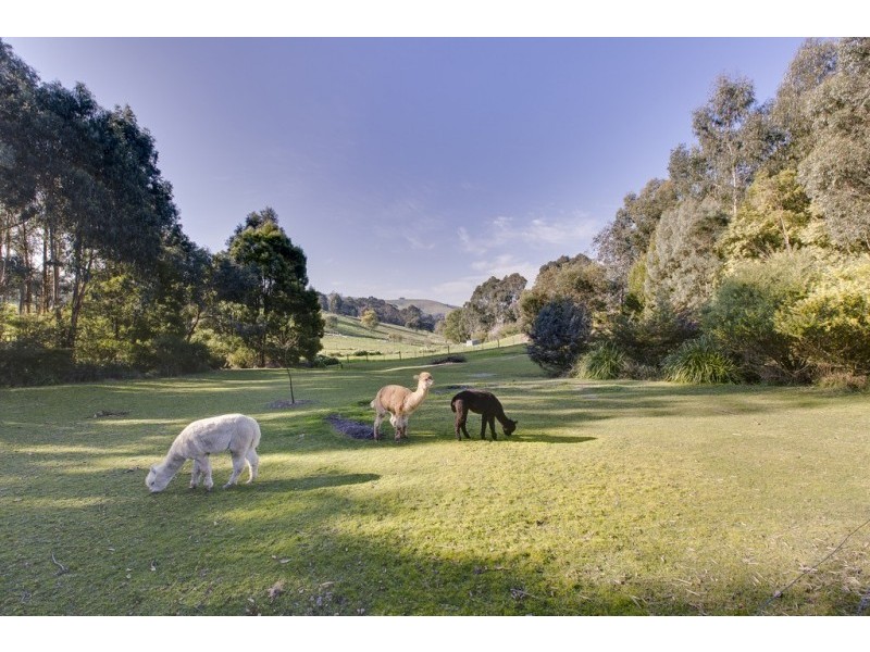31. Lower Gordon Street, Korumburra VIC 3950