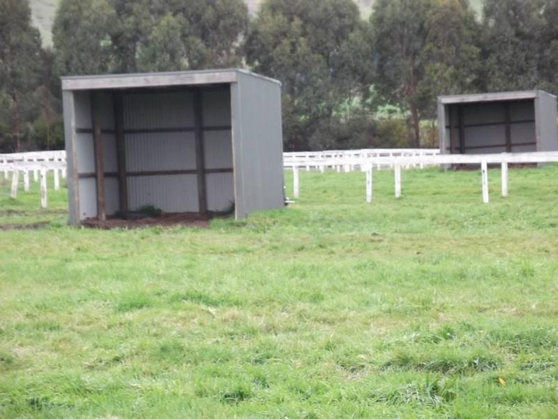 3 Goldies Road, Loch VIC 3945