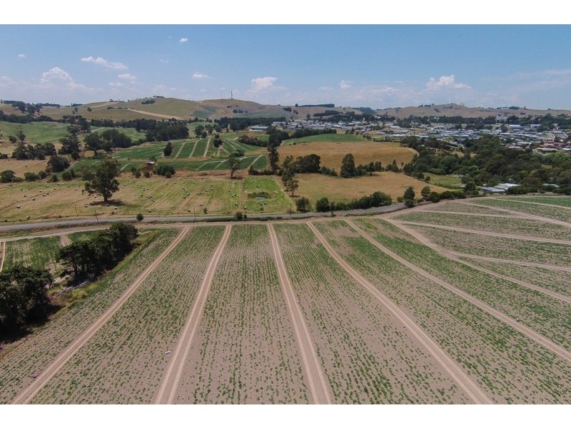 Lot 1, 99 Bena Road, Korumburra VIC 3950