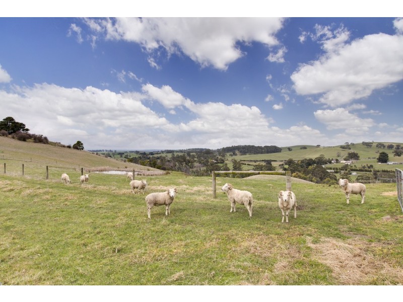 30 James Road, Kardella South VIC 3950