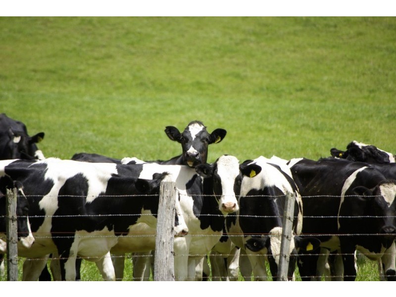 350. Jeetho Road, Loch VIC 3945