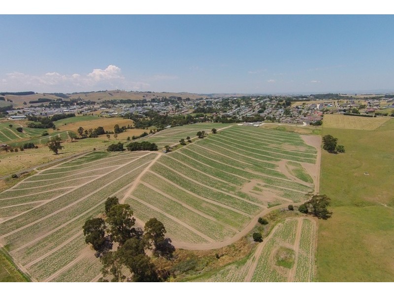 99. Bena Road, Korumburra VIC 3950