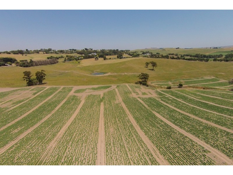 99.. Bena Road, Korumburra VIC 3950