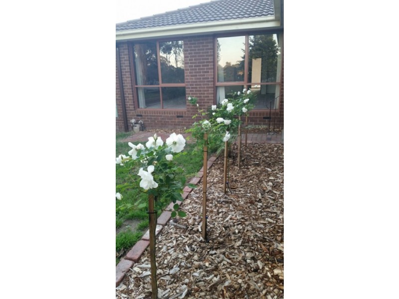 102 Elmores Road, Korumburra VIC 3950