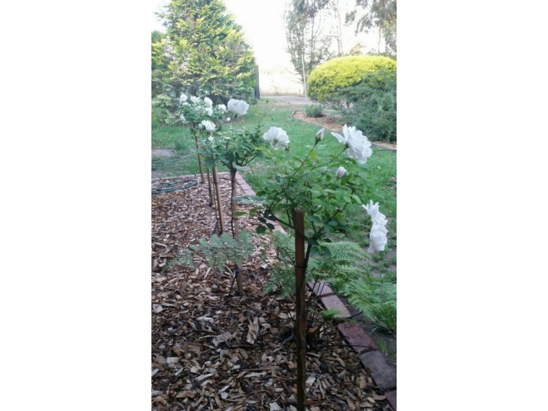 102 Elmores Road, Korumburra VIC 3950