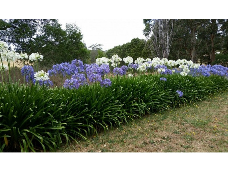 102 Elmores Road, Korumburra VIC 3950