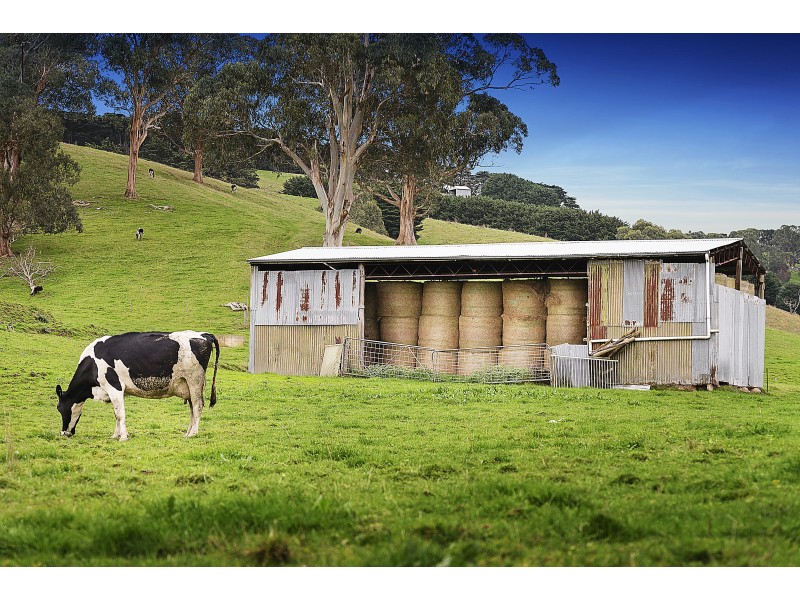 325 Buchanans Road, Bena, Korumburra VIC 3950