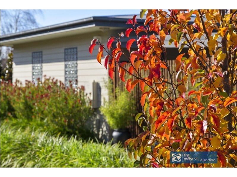 8 Neilson Street, Outtrim VIC 3951