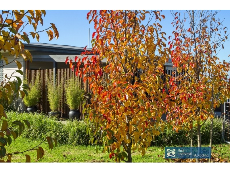 8 Neilson Street, Outtrim VIC 3951