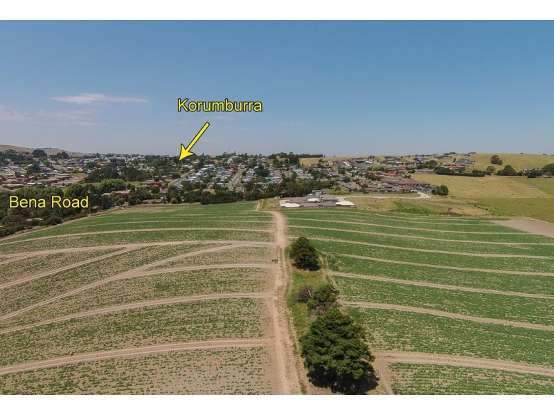 99 Bena Road, Korumburra VIC 3950