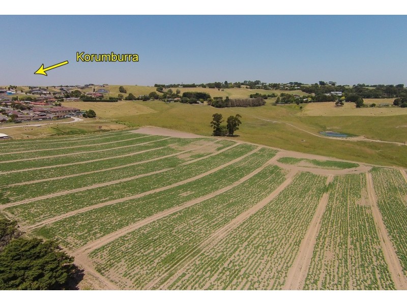 99 Bena Road, Korumburra VIC 3950