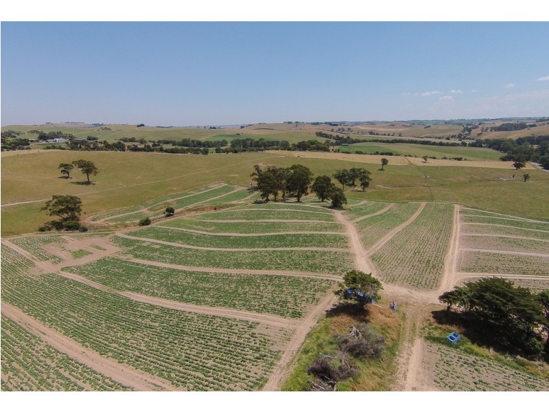 99 Bena Road, Korumburra VIC 3950