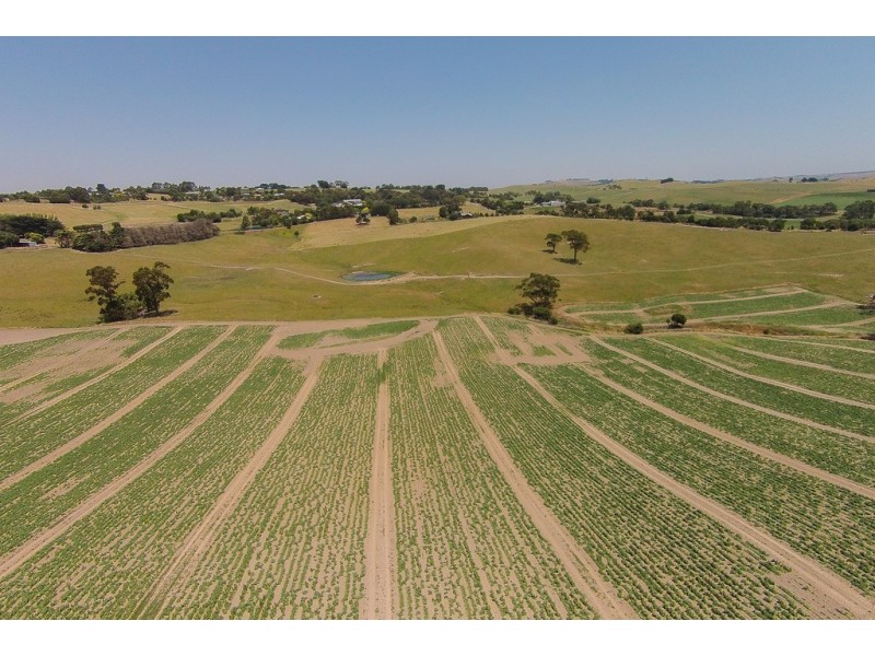 99 Bena Road, Korumburra VIC 3950