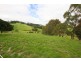 450 Fairbank Road, Arawata VIC 3951