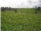 Lot 3 Rees Road, Jumbunna VIC 3951