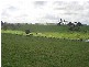 Lot 3 Rees Road, Jumbunna VIC 3951