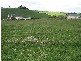 Lot 3 Rees Road, Jumbunna VIC 3951