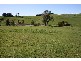 155 Wettenhalls Road, Jeetho VIC 3945