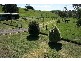 155 Wettenhalls Road, Jeetho VIC 3945