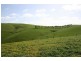 7145 South Gippsland Highway, Loch VIC 3945