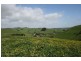 7145 South Gippsland Highway, Loch VIC 3945