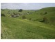 7145 South Gippsland Highway, Loch VIC 3945