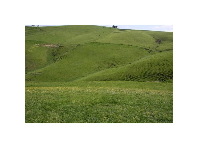 7145 South Gippsland Highway, Loch VIC 3945