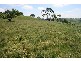 2 Newtons Road, Arawata VIC 3951