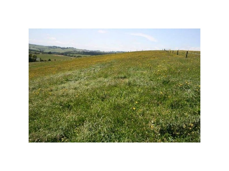 125. Henrys Lane, Korumburra VIC 3950