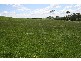 0 Korumburra South Road, Korumburra VIC 3950