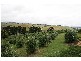 65 Goochs Road, Korumburra VIC 3950